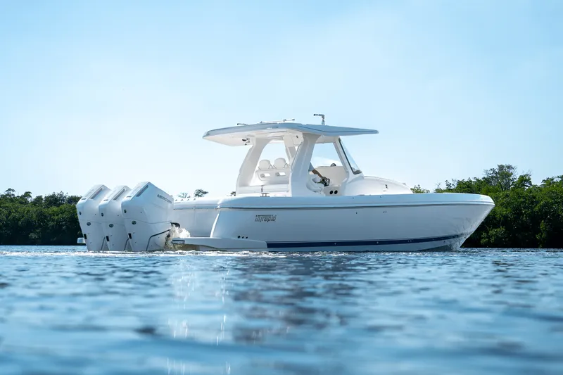 Slide: The Image of Intrepid 41 PANACEA 2025 - 2