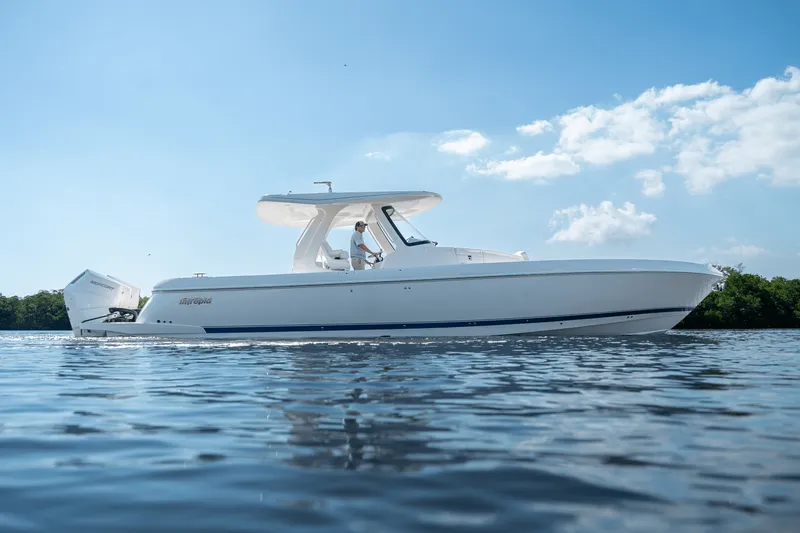 Slide: The Image of Intrepid 41 PANACEA 2025 - 34