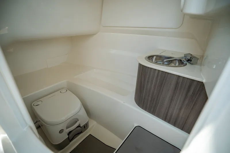 Slide: The Image of Sea Ray SDX 250 Outboard 2025 - 18