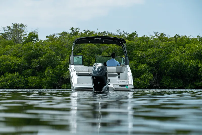 Slide: The Image of Sea Ray SDX 250 Outboard 2025 - 25