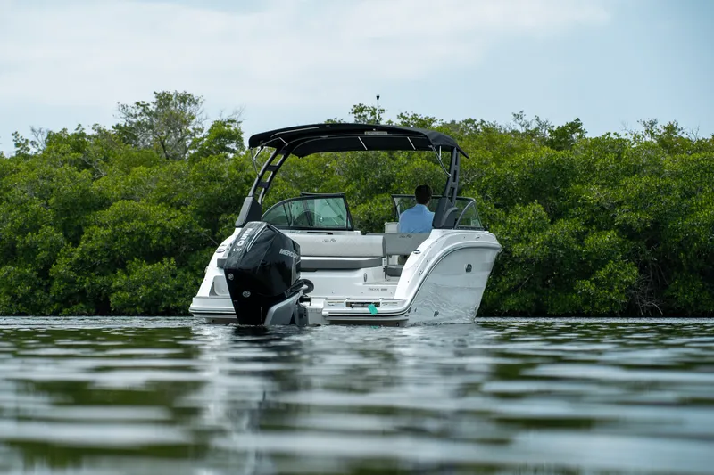 Slide: The Image of Sea Ray SDX 250 Outboard 2025 - 26