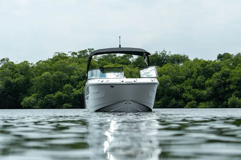 Slide: The Image of Sea Ray SDX 250 Outboard 2025 - 31