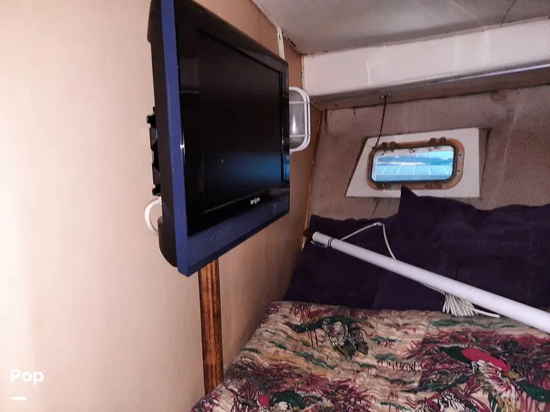 Slide: The Image of Bertram 42 1976 - 9700694