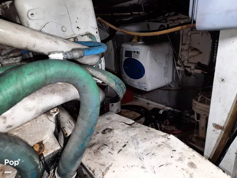 Slide: The Image of Bertram 42 1976 - 9700710