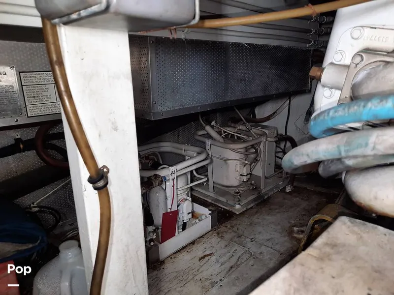 Slide: The Image of Bertram 42 1976 - 9700712