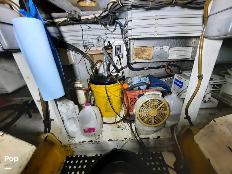 Slide: The Image of Bertram 42 1976 - 9700714