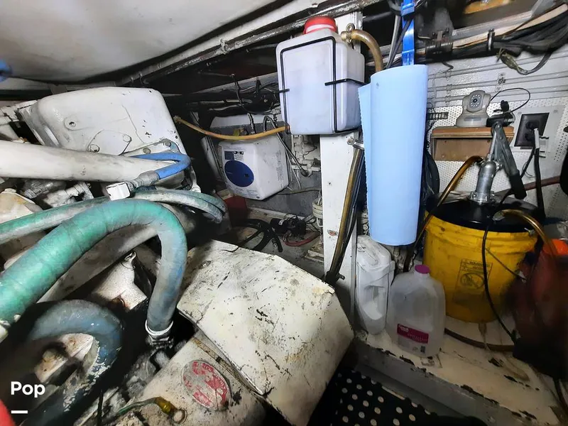 Slide: The Image of Bertram 42 1976 - 9700715