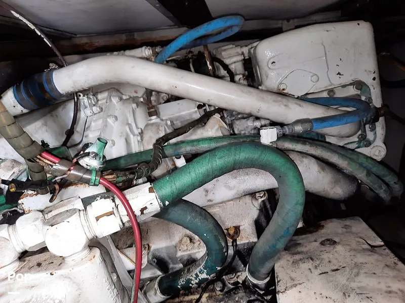 Slide: The Image of Bertram 42 1976 - 9700716