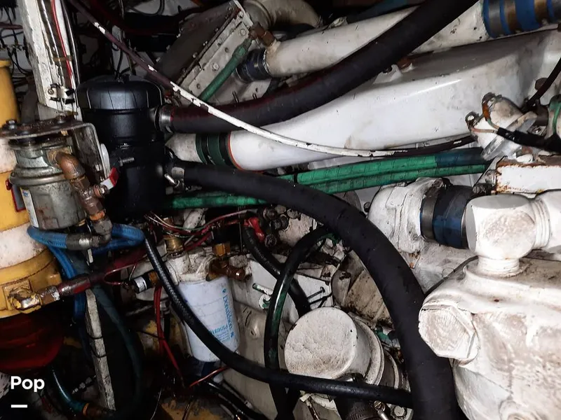 Slide: The Image of Bertram 42 1976 - 9700718