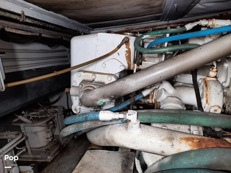 Slide: The Image of Bertram 42 1976 - 9700725