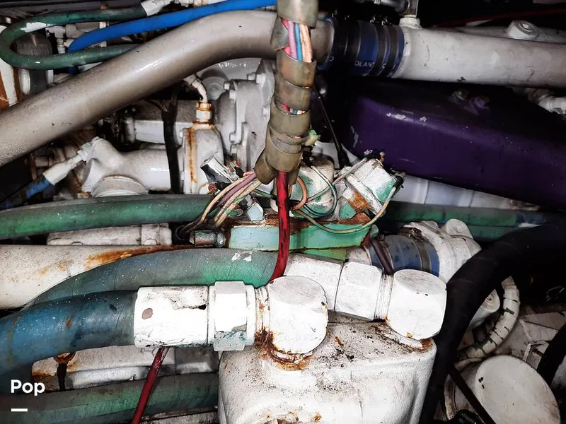 Slide: The Image of Bertram 42 1976 - 9700727