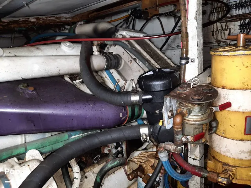 Slide: The Image of Bertram 42 1976 - 9700731