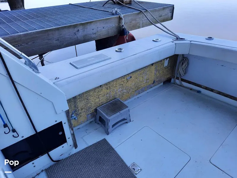 Slide: The Image of Bertram 42 1976 - 9700733