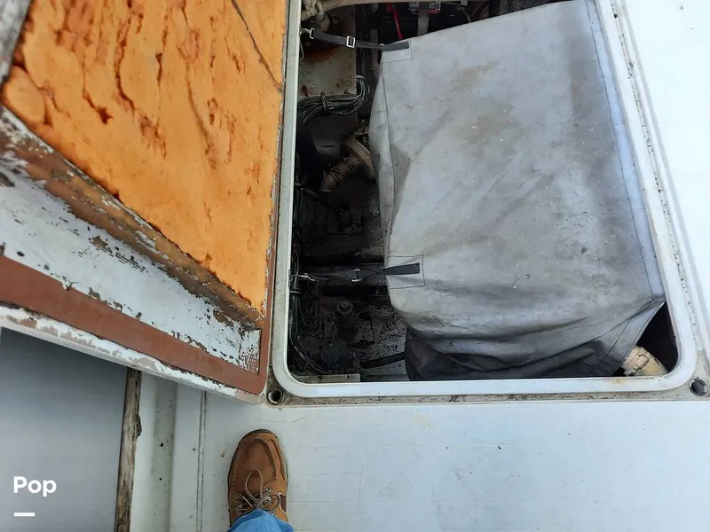 Slide: The Image of Bertram 42 1976 - 9700472