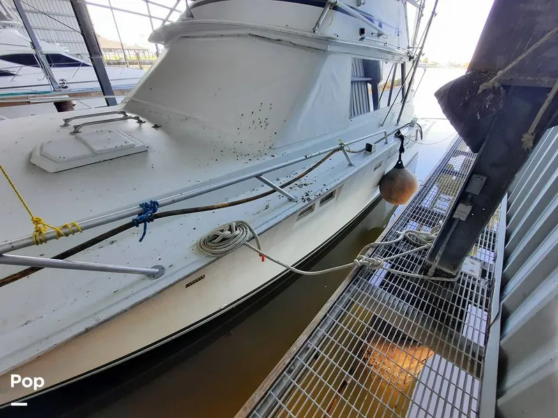 Slide: The Image of Bertram 42 1976 - 9700768