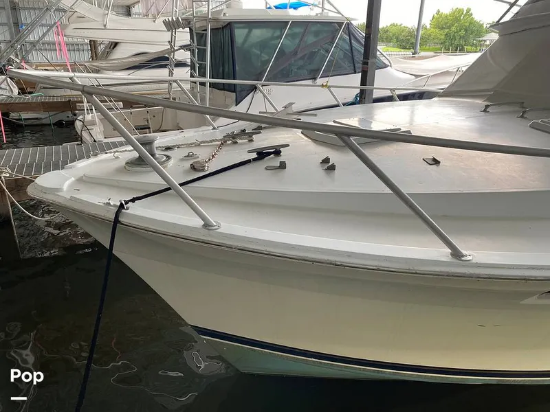 Slide: The Image of Bertram 42 1976 - 11289243