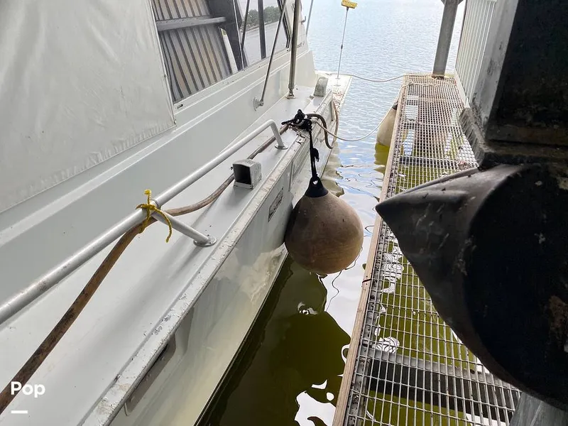 Slide: The Image of Bertram 42 1976 - 11289245