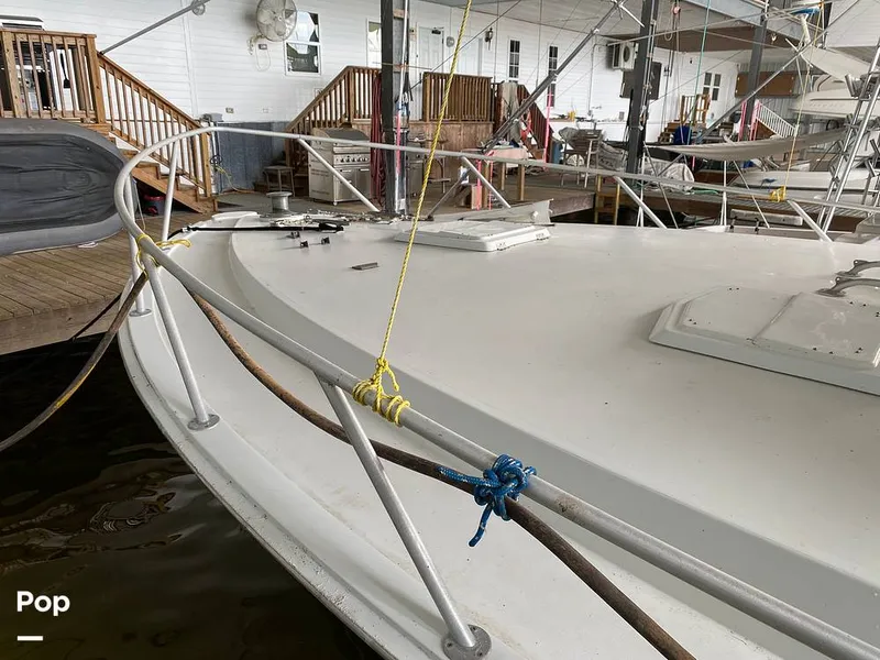 Slide: The Image of Bertram 42 1976 - 11289248