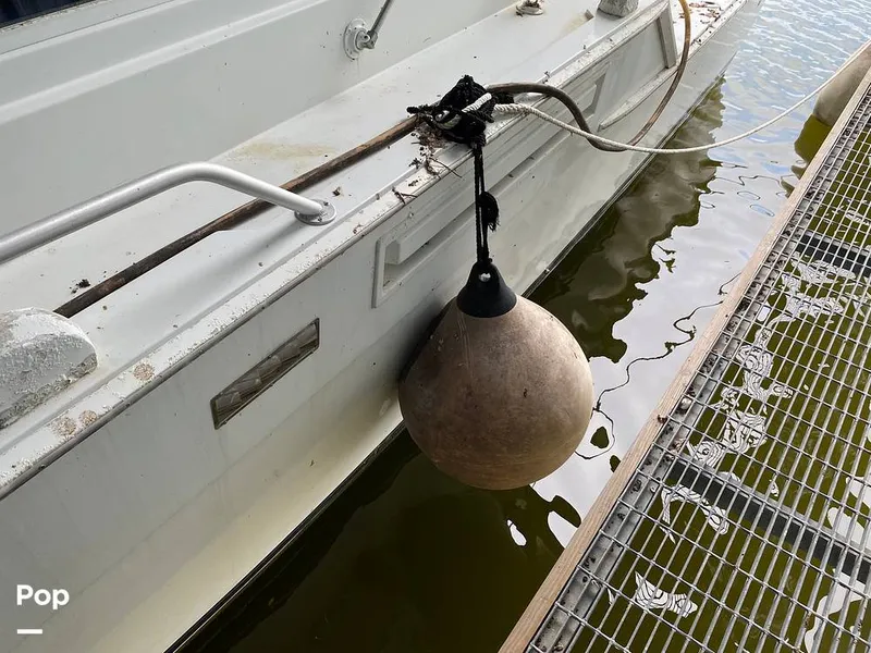 Slide: The Image of Bertram 42 1976 - 11289253