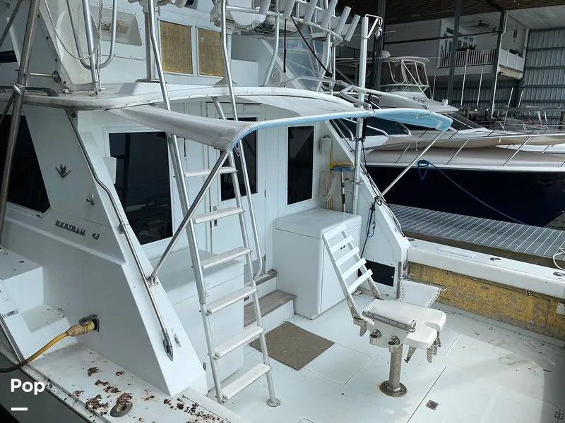 Slide: The Image of Bertram 42 1976 - 11289258