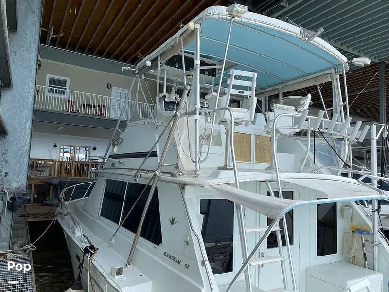 Slide: The Image of Bertram 42 1976 - 11289260