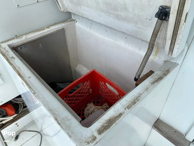 Slide: The Image of Bertram 42 1976 - 11289279