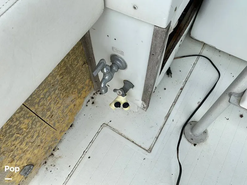 Slide: The Image of Bertram 42 1976 - 11289282