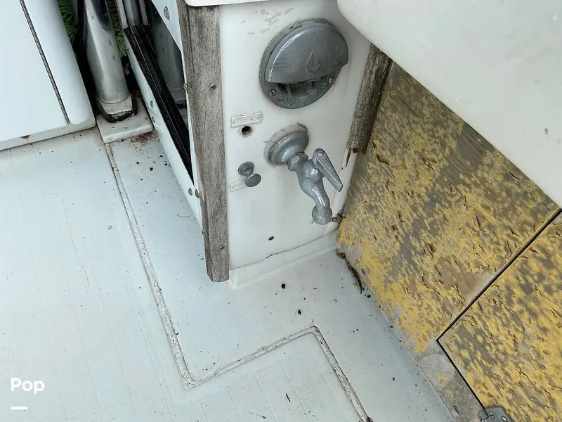 Slide: The Image of Bertram 42 1976 - 11289284