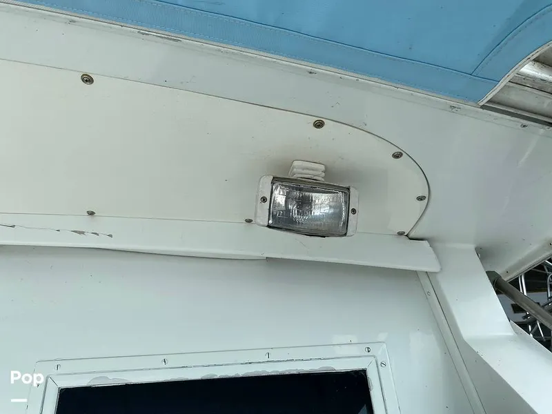 Slide: The Image of Bertram 42 1976 - 11289288