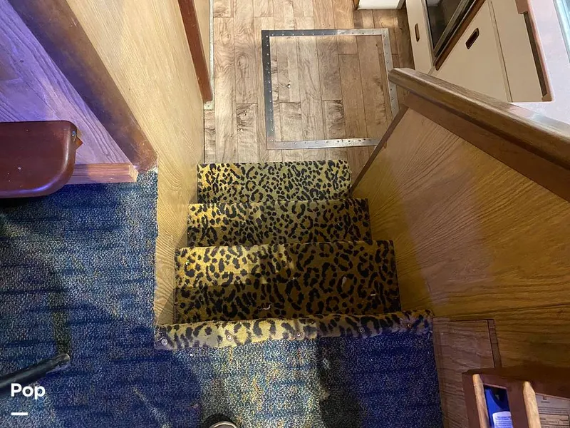 Slide: The Image of Bertram 42 1976 - 11289319