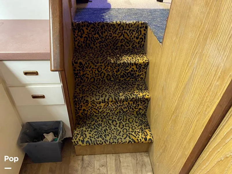 Slide: The Image of Bertram 42 1976 - 11289321