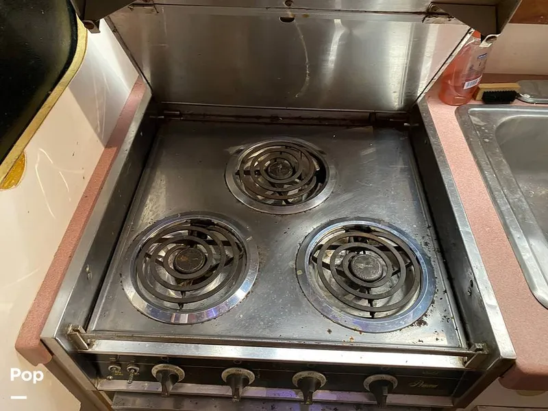 Slide: The Image of Bertram 42 1976 - 11289335