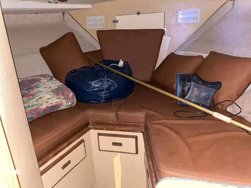 Slide: The Image of Bertram 42 1976 - 11289372