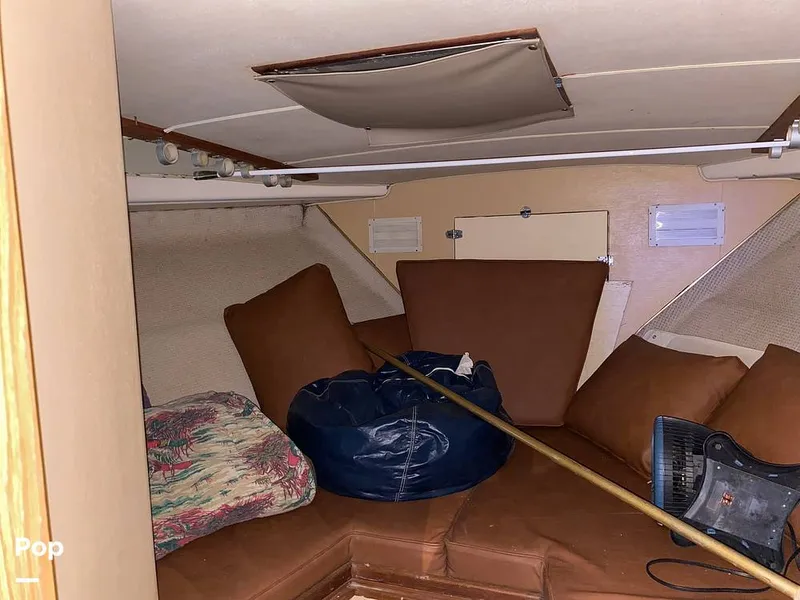 Slide: The Image of Bertram 42 1976 - 11289374