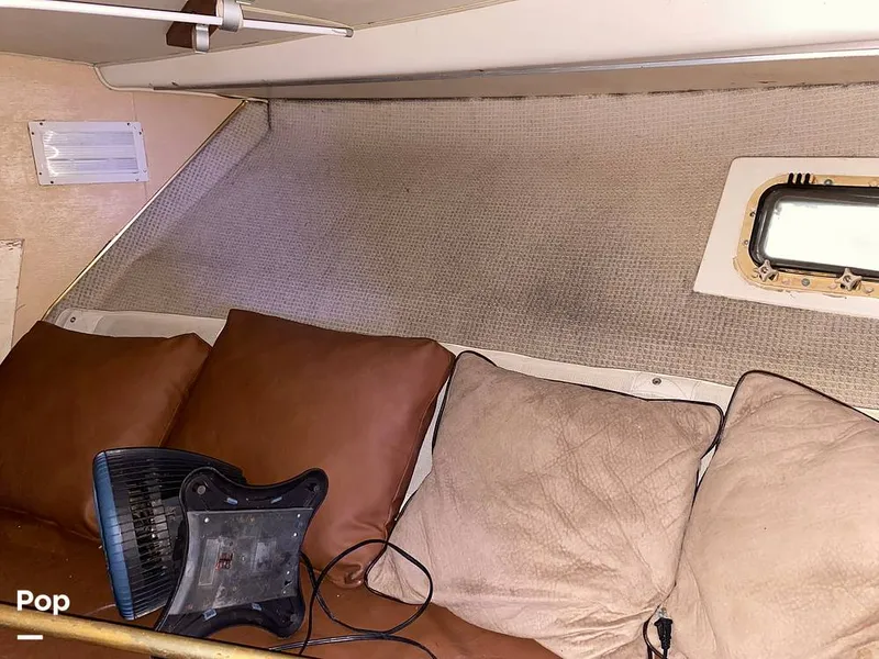 Slide: The Image of Bertram 42 1976 - 11289375