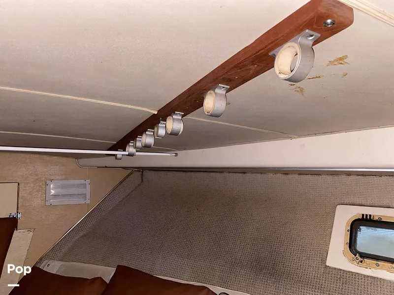 Slide: The Image of Bertram 42 1976 - 11289376