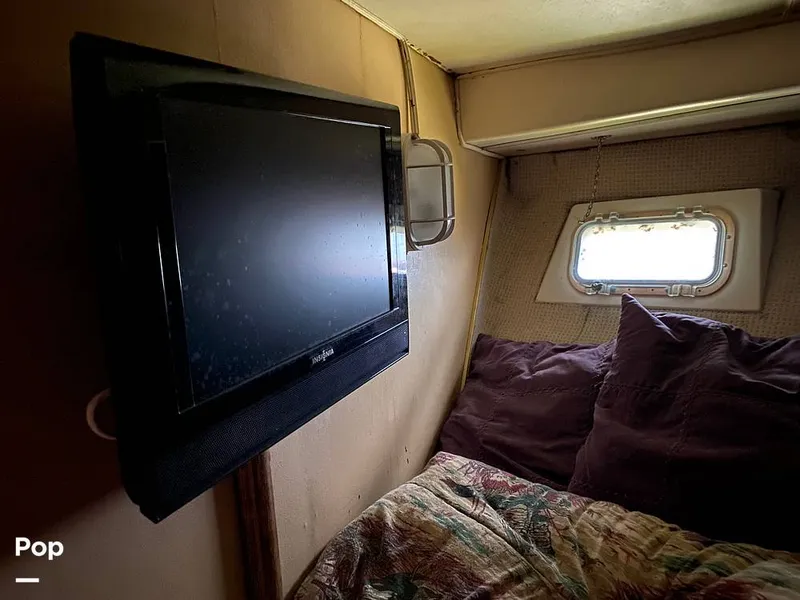 Slide: The Image of Bertram 42 1976 - 11289378