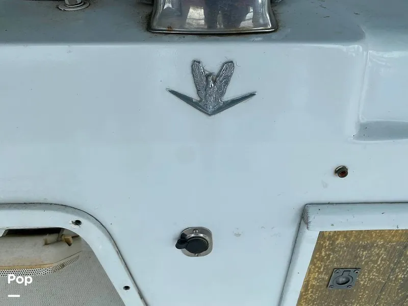 Slide: The Image of Bertram 42 1976 - 11289398