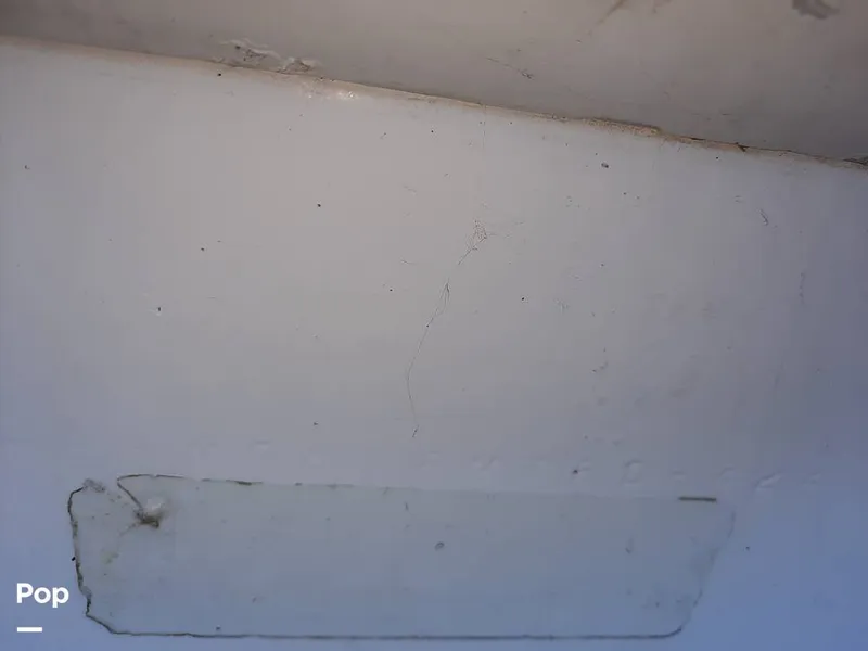 Slide: The Image of Bertram 42 1976 - 9700501