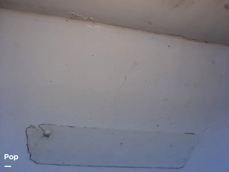 Slide: The Image of Bertram 42 1976 - 9700503