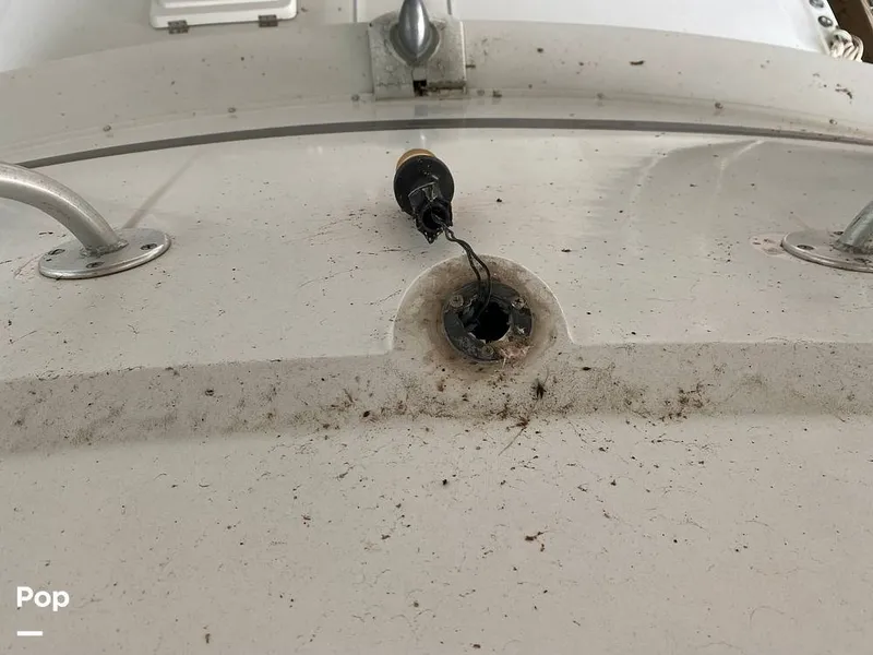 Slide: The Image of Bertram 42 1976 - 11289418