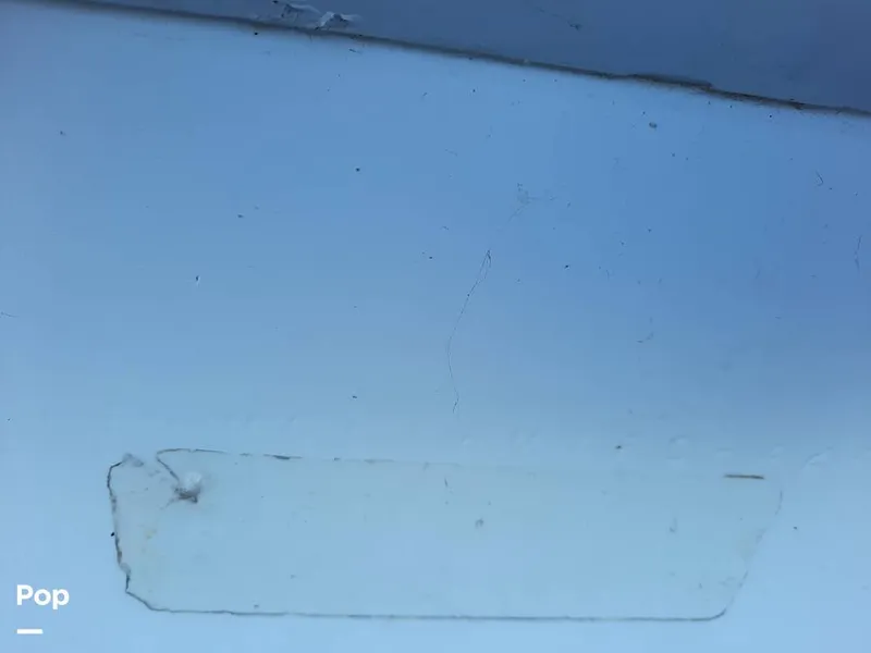 Slide: The Image of Bertram 42 1976 - 9700506