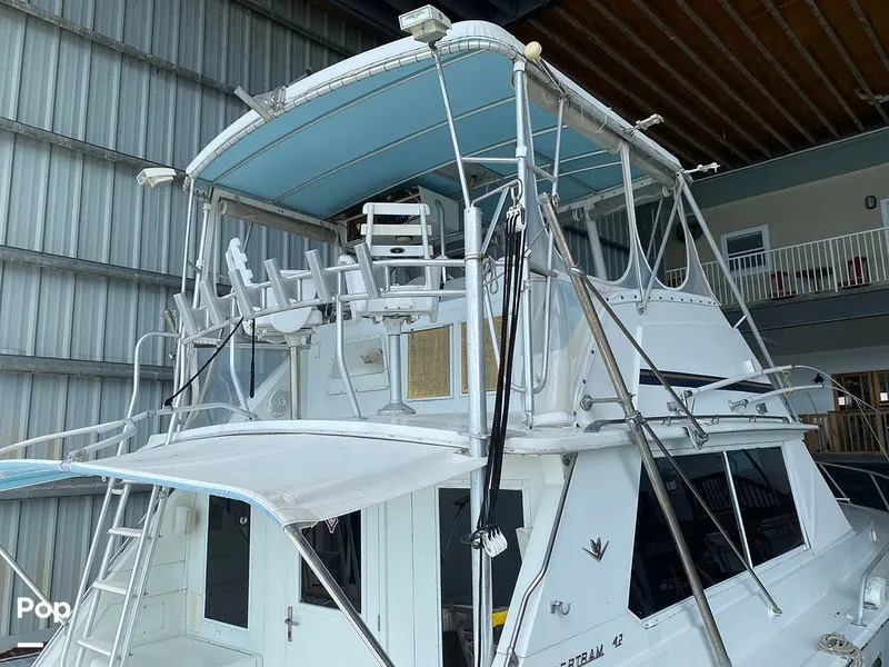 Slide: The Image of Bertram 42 1976 - 11289431