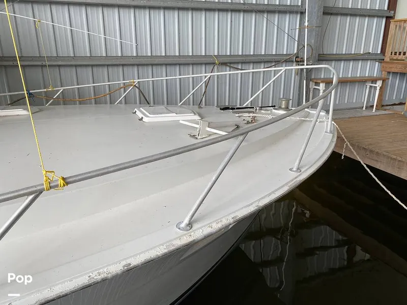 Slide: The Image of Bertram 42 1976 - 11289432