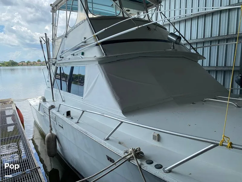 Slide: The Image of Bertram 42 1976 - 11289433