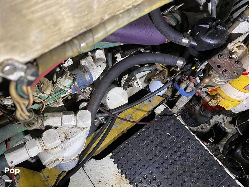 Slide: The Image of Bertram 42 1976 - 11289437