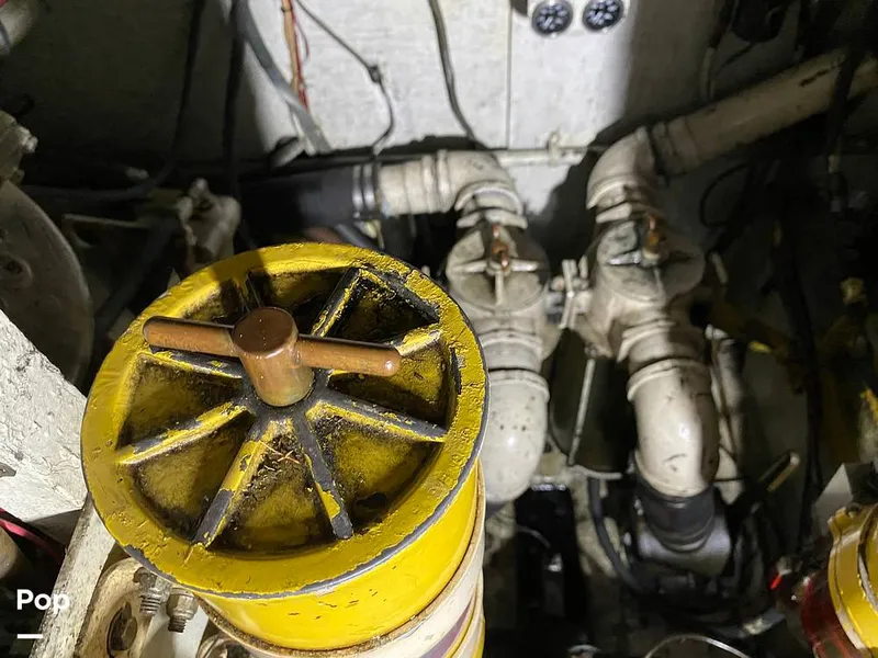 Slide: The Image of Bertram 42 1976 - 11289438