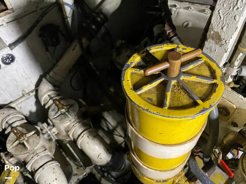 Slide: The Image of Bertram 42 1976 - 11289439