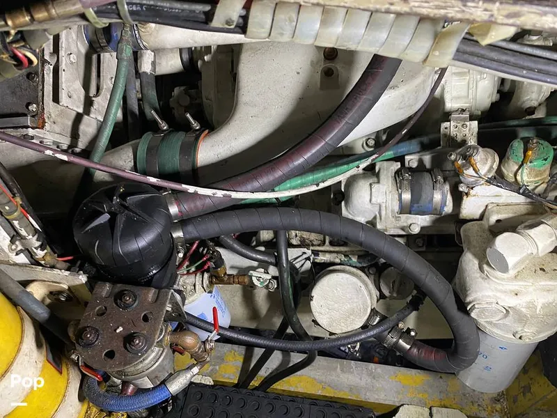 Slide: The Image of Bertram 42 1976 - 11289440