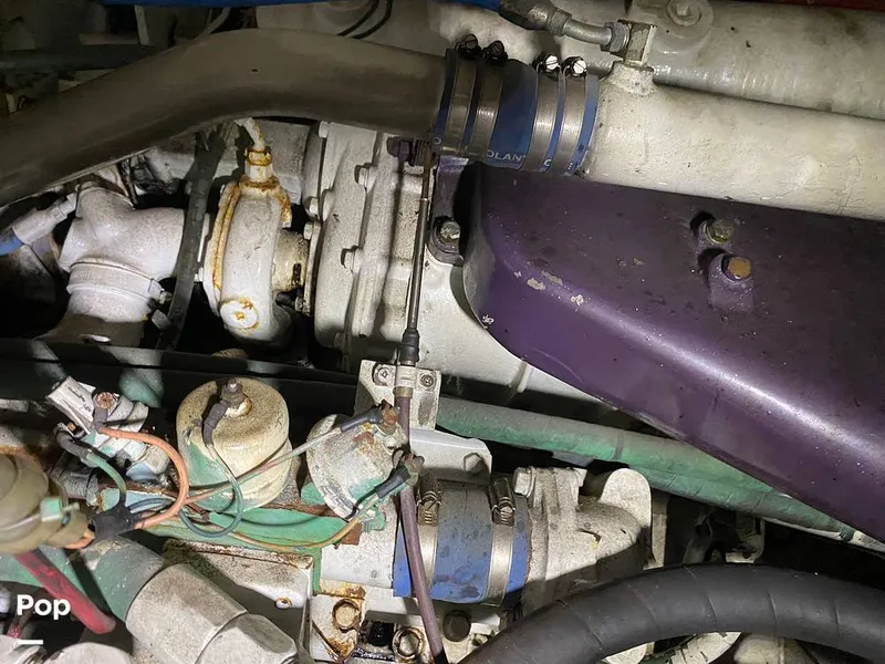 Slide: The Image of Bertram 42 1976 - 11289441